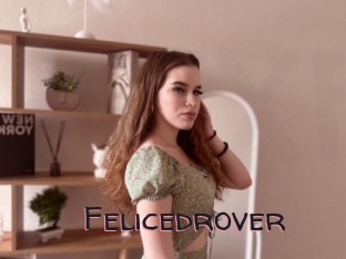 Felicedrover