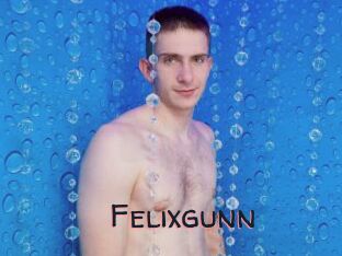 Felixgunn