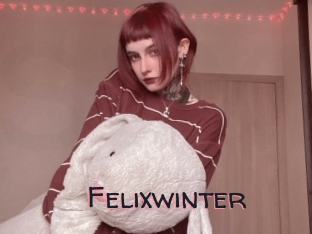Felixwinter
