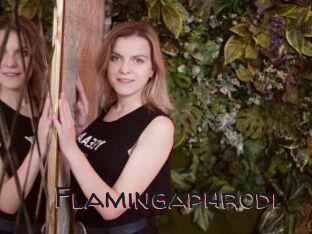 Flamingaphrodi