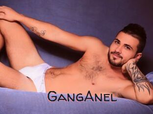 GangAnel