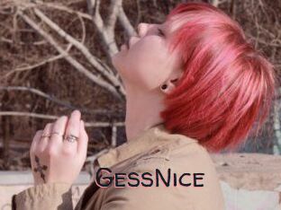 GessNice