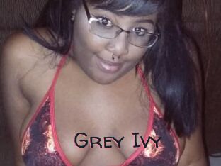 Grey_Ivy