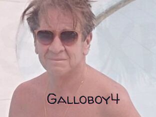 Galloboy4