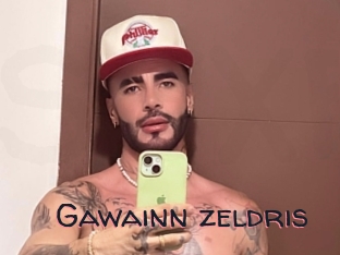 Gawainn_zeldris
