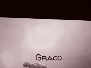 graco Sexy Finden