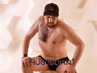 Hugoburn1
