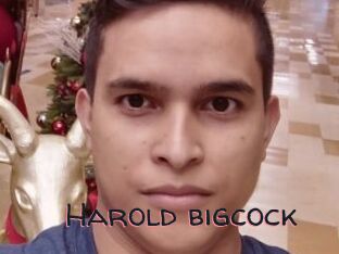 Harold_bigcock