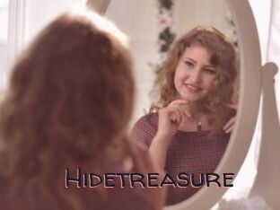 Hidetreasure