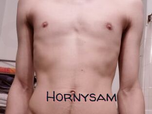 Hornysam