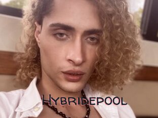 Hybridepool