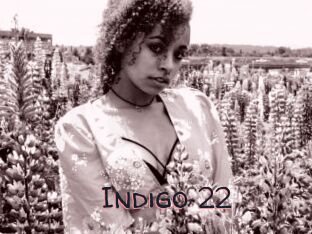 Indigo_22