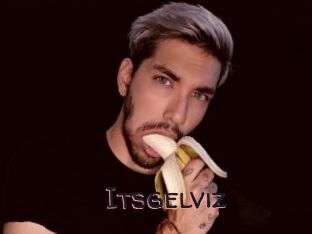 Itsgelviz