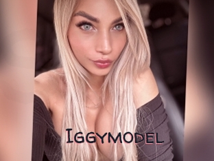 Iggymodel