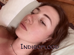 Indigoflood