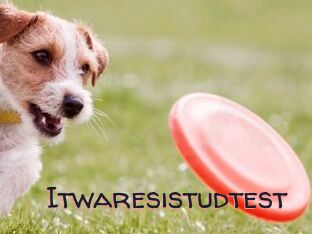 Itwaresistudtest