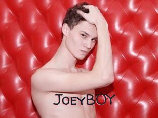 JoeyB0Y