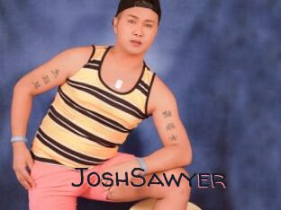 JoshSawyer