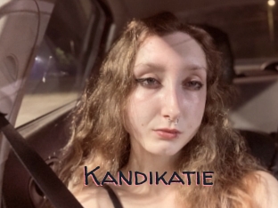 Kandikatie