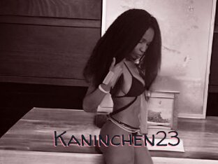 Kaninchen23