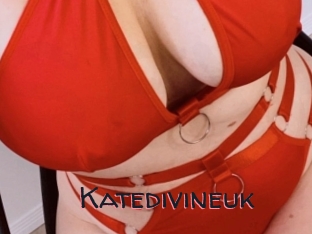 Katedivineuk