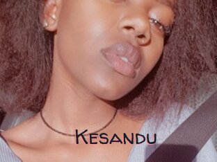 Kesandu