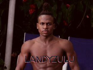 LANDYZULU