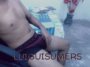 LUIGUISUMERS