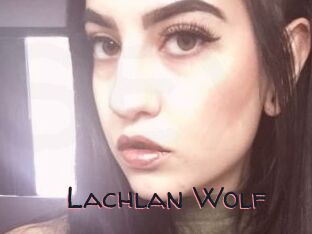Lachlan_Wolf