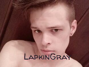 LapkinGray