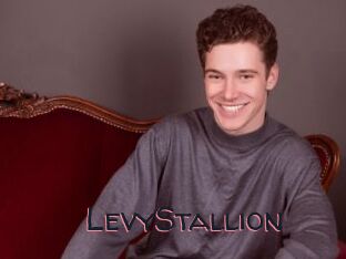 LevyStallion