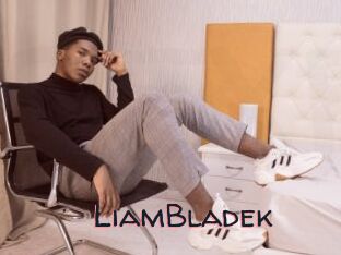 LiamBladek