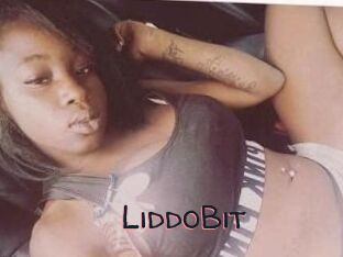LiddoBit