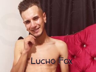 Lucho_Fox