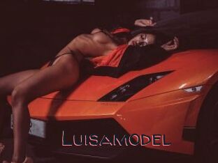 Luisamodel