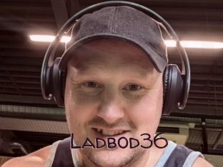 Ladbod36