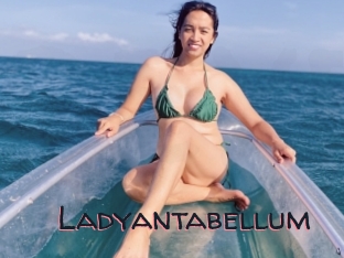 Ladyantabellum