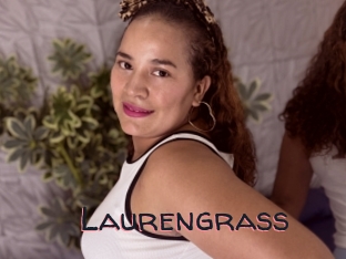 Laurengrass