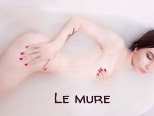 Le_mure