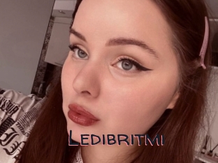 Ledibritmi