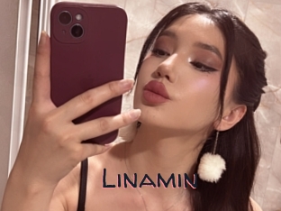 Linamin