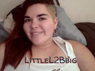 LittleL2Bbig