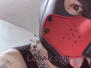 Logan_pup