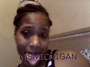 MSMICHIGAN