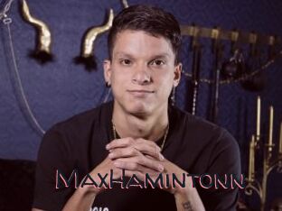MaxHamintonn