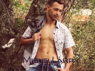 MiguelLarry