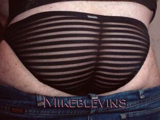 Mikeblevins