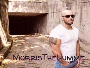 MorrisTheHumme