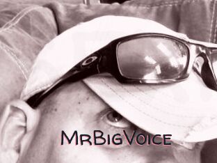 MrBigVoice