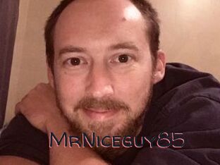MrNiceguy85
